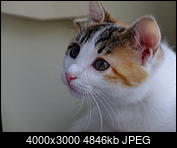 Kliknij obrazek, aby uzyskać większą wersję

Nazwa:	DSCF8030.JPG
Wyświetleń:	53
Rozmiar:	4,73 MB
ID:	189301