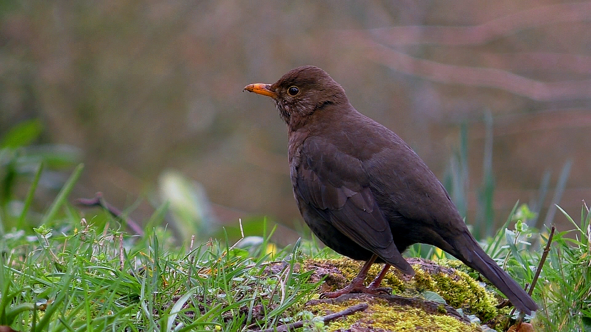 Kliknij obrazek, aby uzyskać większą wersję

Nazwa:	S2380.jpg
Wyświetleń:	768
Rozmiar:	1,20 MB
ID:	189404
