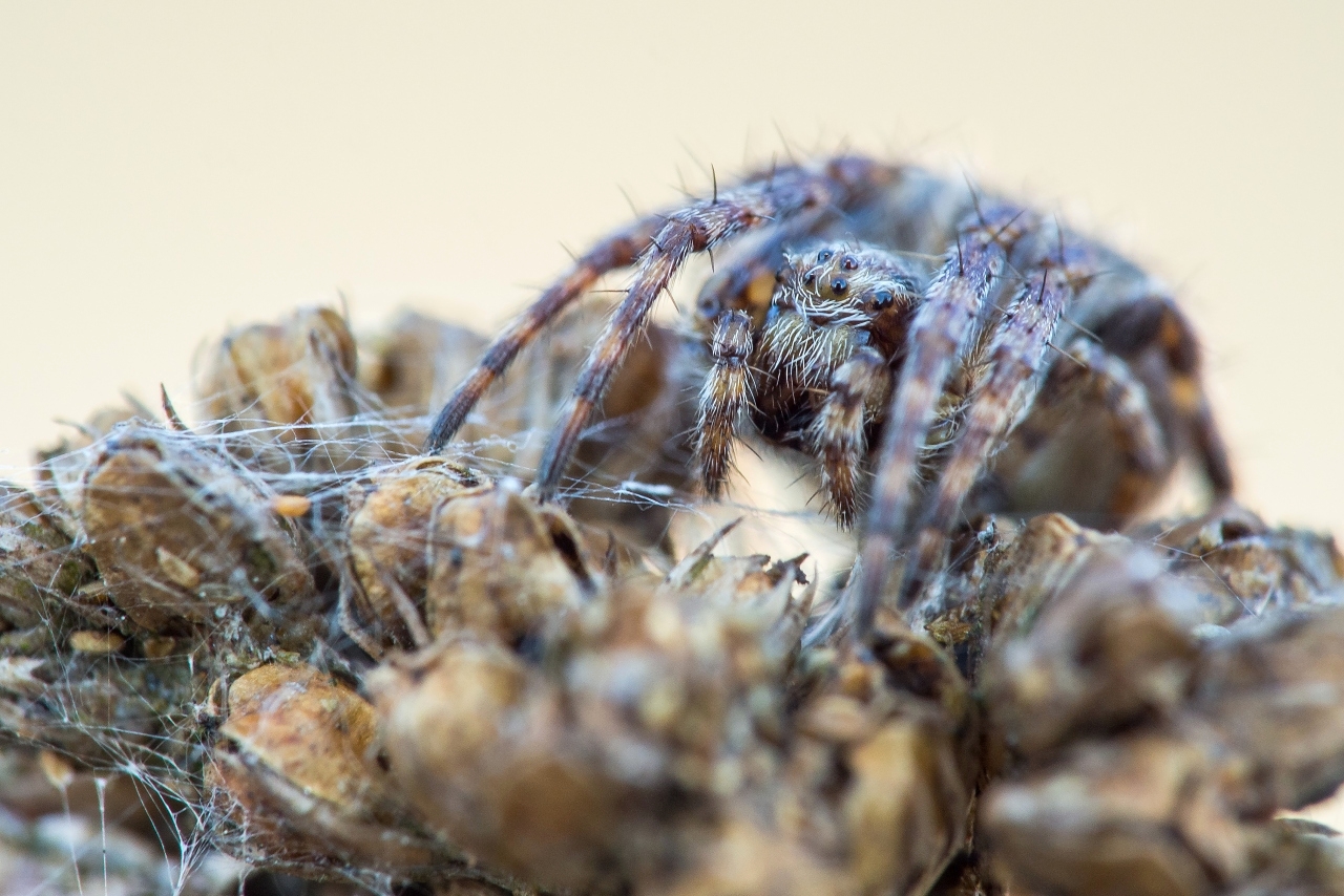 Nazwa:  m001.jpg
Wyświetleń: 201
Rozmiar:  716,4 KB