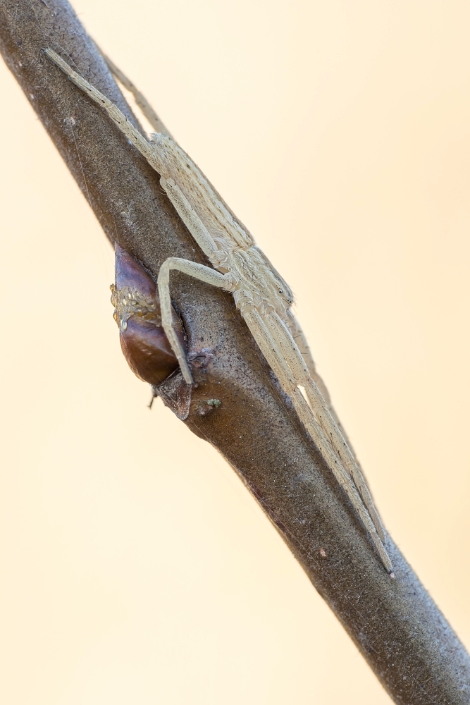 Nazwa:  m003.jpg
Wyświetleń: 181
Rozmiar:  321,9 KB