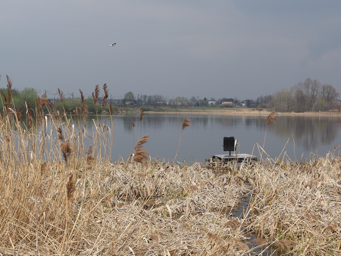 Nazwa:  P4093856.jpg
Wyświetleń: 105
Rozmiar:  658,9 KB