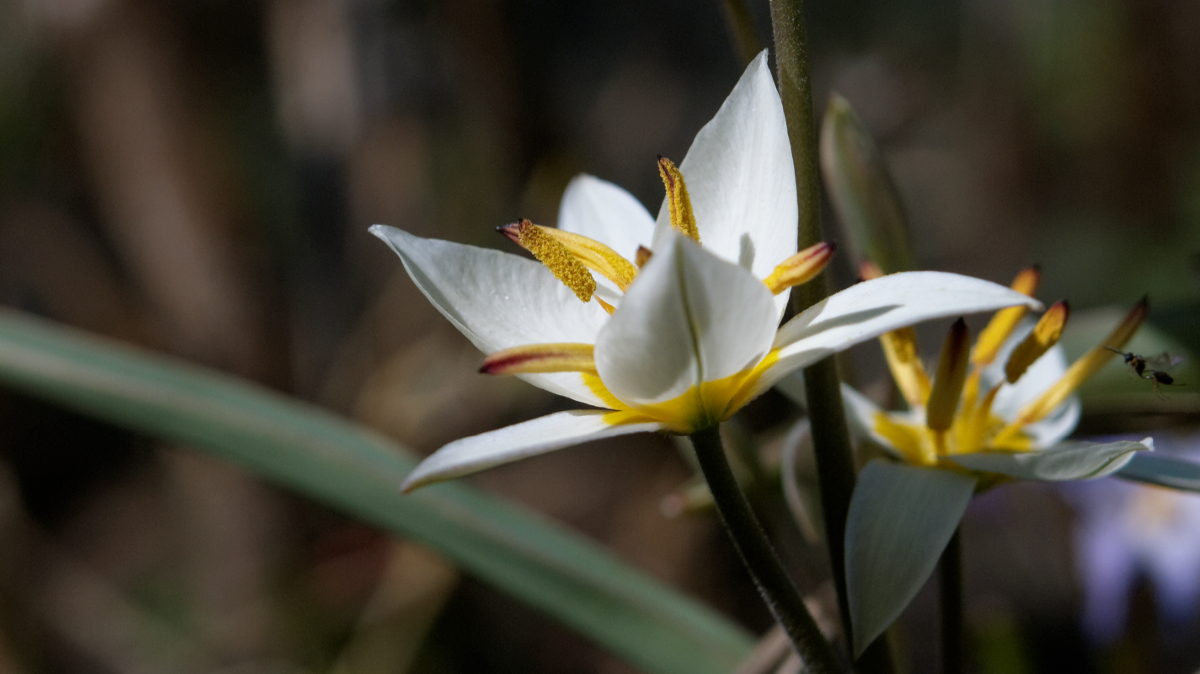 Nazwa:  DC163819_DxO.jpg
Wyświetleń: 210
Rozmiar:  753,1 KB