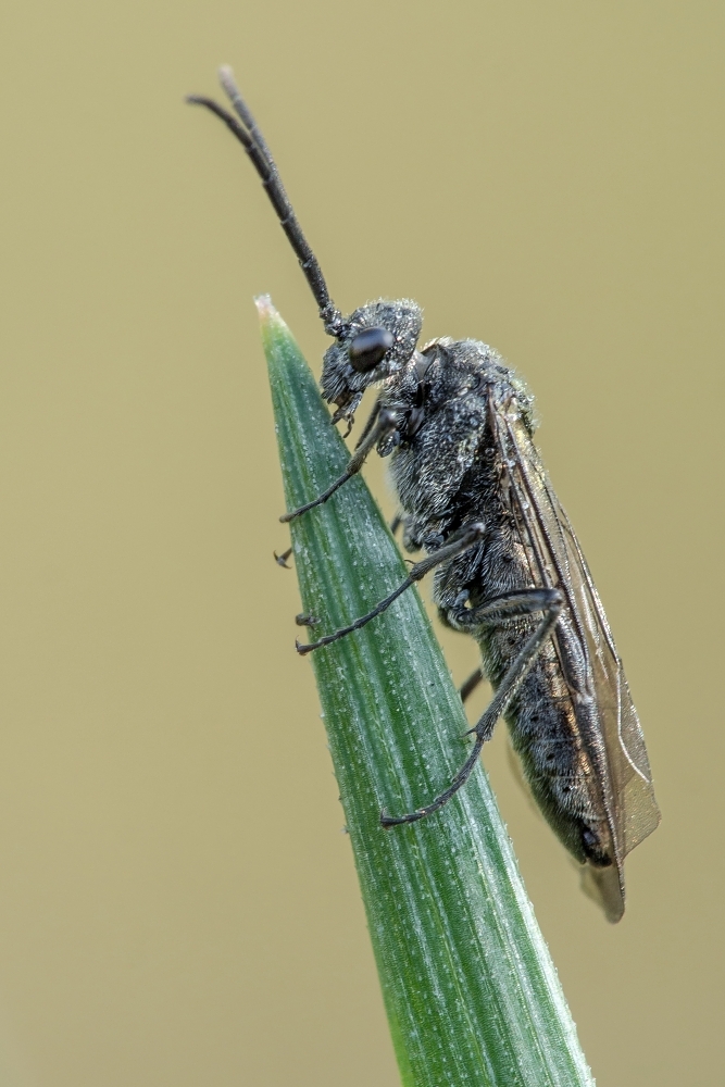 Nazwa:  004.jpg
Wyświetleń: 186
Rozmiar:  377,3 KB