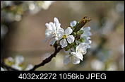 Kliknij obrazek, aby uzyskać większą wersję

Nazwa:	P4105212.JPG
Wyświetleń:	191
Rozmiar:	1,03 MB
ID:	189631