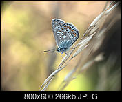 Kliknij obrazek, aby uzyskać większą wersję

Nazwa:	01.jpg
Wyświetleń:	123
Rozmiar:	265,8 KB
ID:	189840