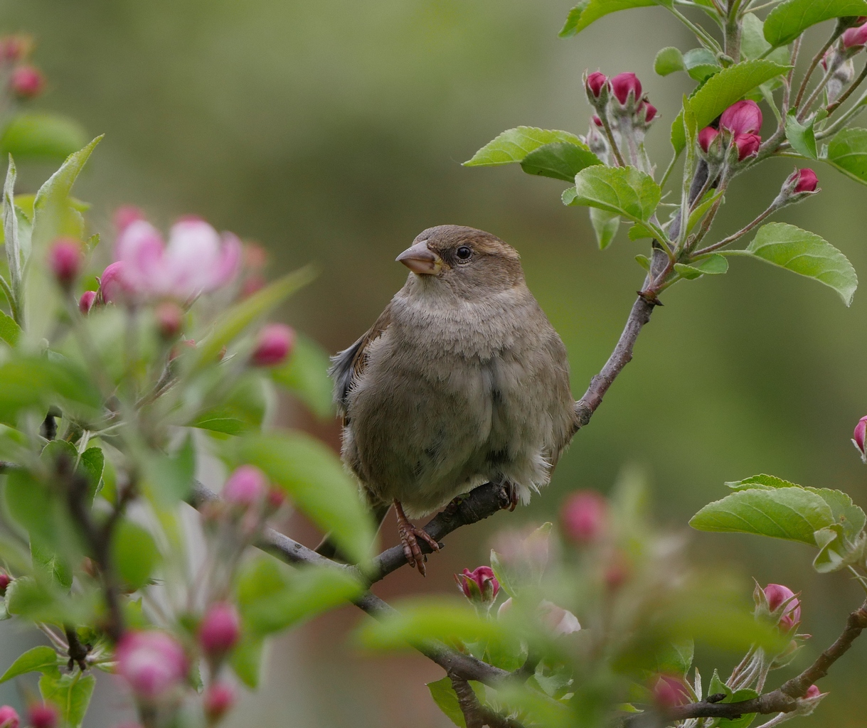 Nazwa:  P1090260.JPG
Wyświetleń: 577
Rozmiar:  585,5 KB