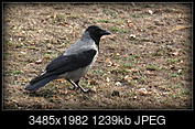 Kliknij obrazek, aby uzyskać większą wersję

Nazwa:	PA035798.jpg
Wyświetleń:	69
Rozmiar:	1,21 MB
ID:	190378