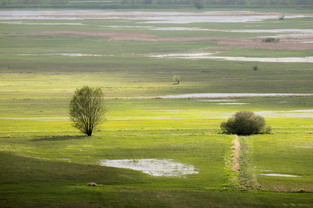 Nazwa:  _5074007.jpg
Wyświetleń: 130
Rozmiar:  668,6 KB