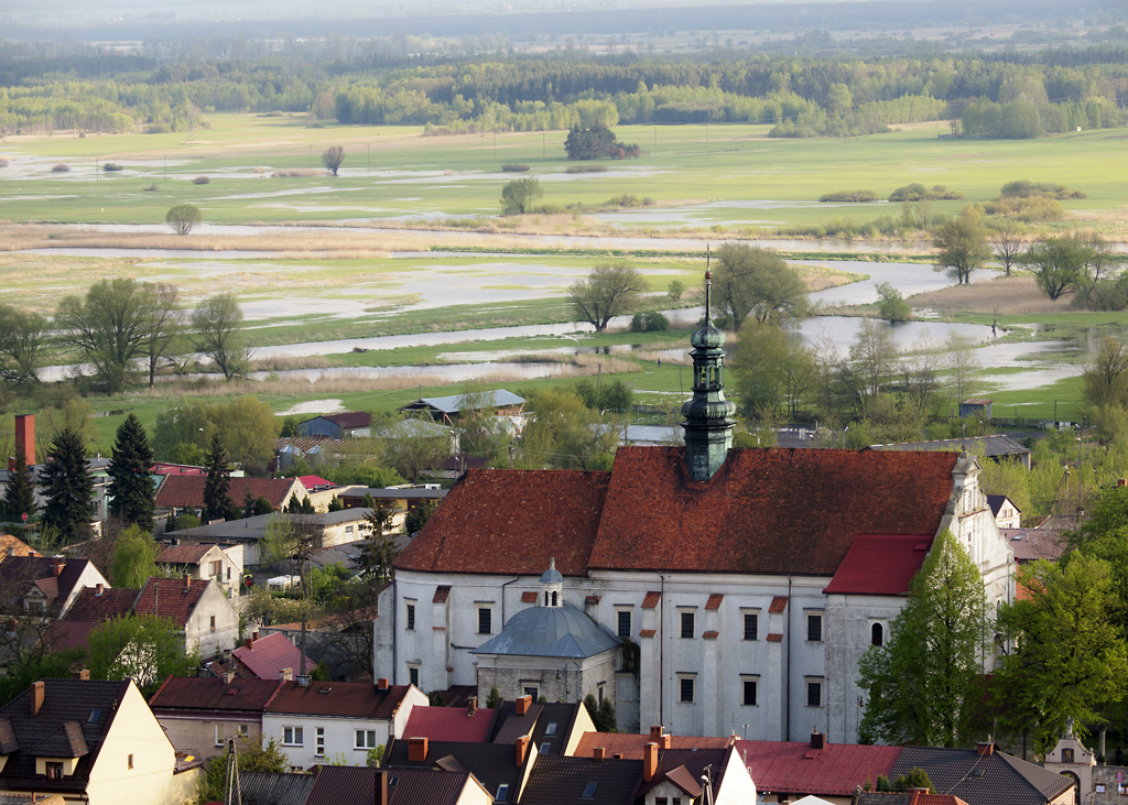 Nazwa:  _5074033.jpg
Wyświetleń: 134
Rozmiar:  809,6 KB