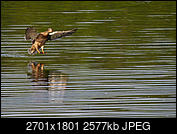 Kliknij obrazek, aby uzyskać większą wersję

Nazwa:	P5110017.jpg
Wyświetleń:	92
Rozmiar:	2,52 MB
ID:	190791