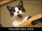 Kliknij obrazek, aby uzyskać większą wersję

Nazwa:	M5220128.jpg
Wyświetleń:	65
Rozmiar:	89,6 KB
ID:	190881