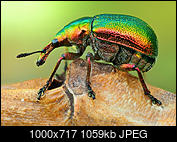 Kliknij obrazek, aby uzyskać większą wersję

Nazwa:	tutkarz2_2_2_1000_1.jpg
Wyświetleń:	85
Rozmiar:	1,03 MB
ID:	190886