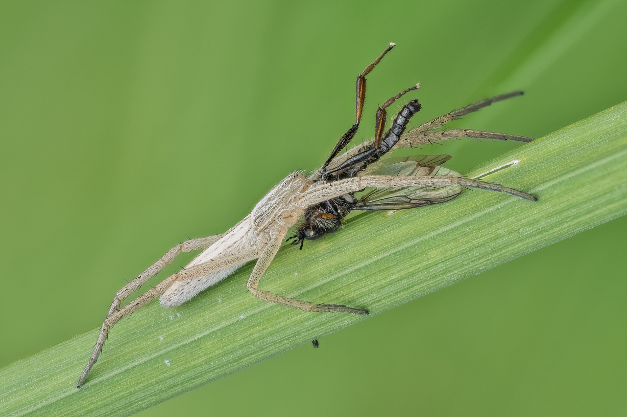Nazwa:  m120.jpg
Wyświetleń: 209
Rozmiar:  303,2 KB