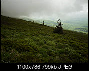 Kliknij obrazek, aby uzyskać większą wersję

Nazwa:	_5244258.jpg
Wyświetleń:	68
Rozmiar:	798,8 KB
ID:	191388