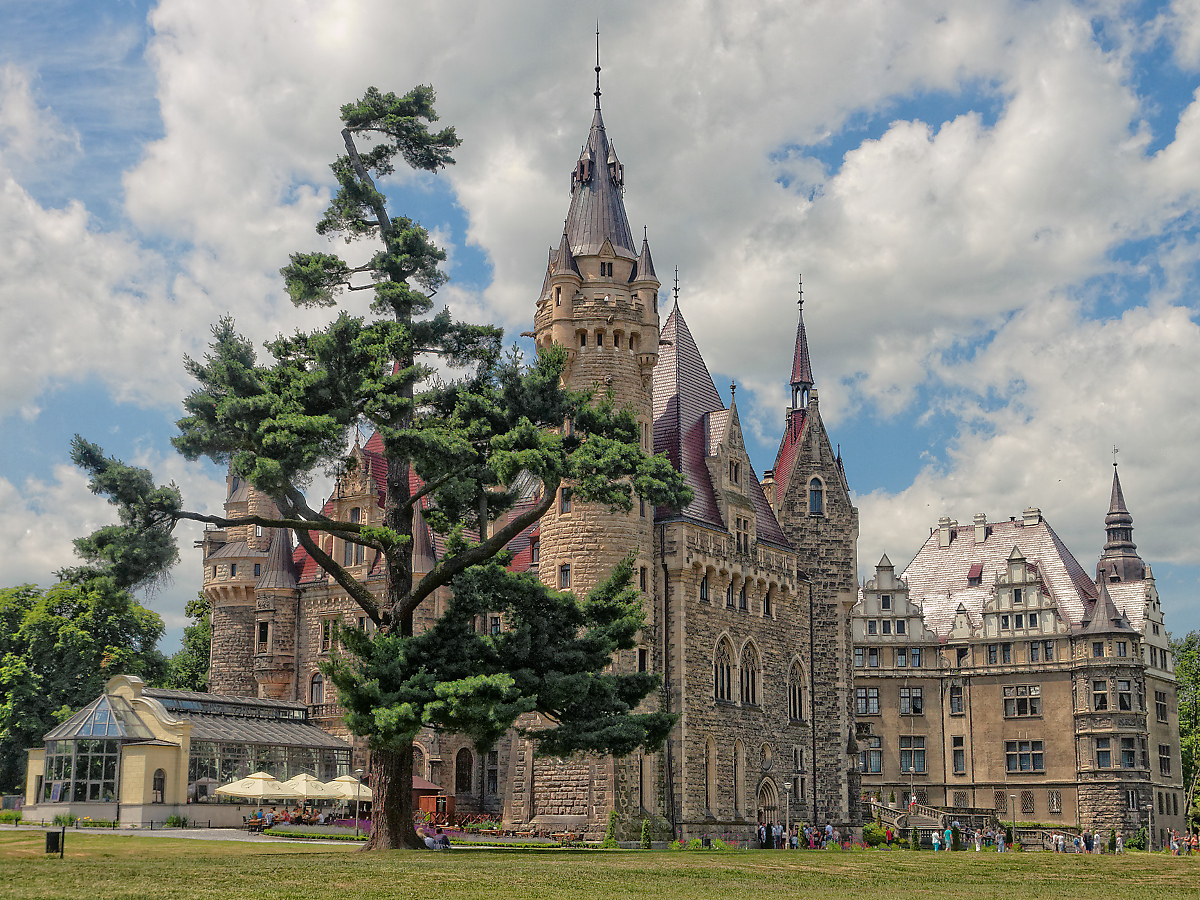 Nazwa:  DC164303_DxO.jpg
Wyświetleń: 108
Rozmiar:  952,7 KB