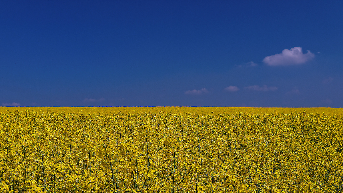 Nazwa:  DC164278_DxO_DxO.jpg
Wyświetleń: 155
Rozmiar:  900,4 KB