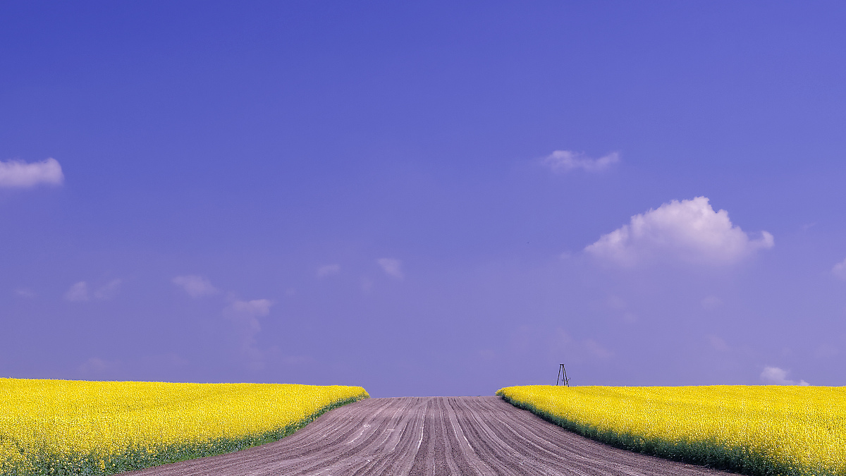 Nazwa:  DC164274_DxO.jpg
Wyświetleń: 151
Rozmiar:  355,7 KB