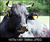 Kliknij obrazek, aby uzyskać większą wersję

Nazwa:	P6150883_a1.jpg
Wyświetleń:	83
Rozmiar:	598,3 KB
ID:	191970