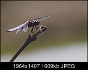 Kliknij obrazek, aby uzyskać większą wersję

Nazwa:	P7090050.jpg
Wyświetleń:	93
Rozmiar:	1,57 MB
ID:	192670