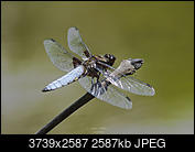 Kliknij obrazek, aby uzyskać większą wersję

Nazwa:	P7090062.jpg
Wyświetleń:	89
Rozmiar:	2,53 MB
ID:	192671