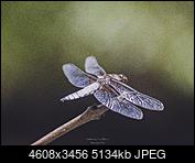 Kliknij obrazek, aby uzyskać większą wersję

Nazwa:	P7090081_kopia.jpg
Wyświetleń:	71
Rozmiar:	5,01 MB
ID:	192673