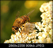 Kliknij obrazek, aby uzyskać większą wersję

Nazwa:	P8102169.jpg
Wyświetleń:	88
Rozmiar:	908,9 KB
ID:	193399