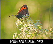 Kliknij obrazek, aby uzyskać większą wersję

Nazwa:	P8080168.jpg
Wyświetleń:	76
Rozmiar:	318,2 KB
ID:	193683