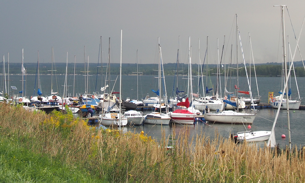 Nazwa:  P8267351.jpg
Wyświetleń: 380
Rozmiar:  928,3 KB