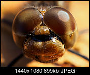 Kliknij obrazek, aby uzyskać większą wersję

Nazwa:	P9300458-3.jpg
Wyświetleń:	99
Rozmiar:	899,2 KB
ID:	194733