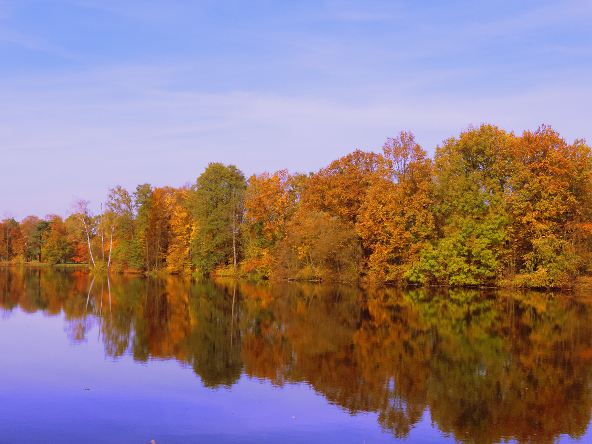 Nazwa:  PA188859_DxO.jpg
Wyświetleń: 138
Rozmiar:  671,8 KB