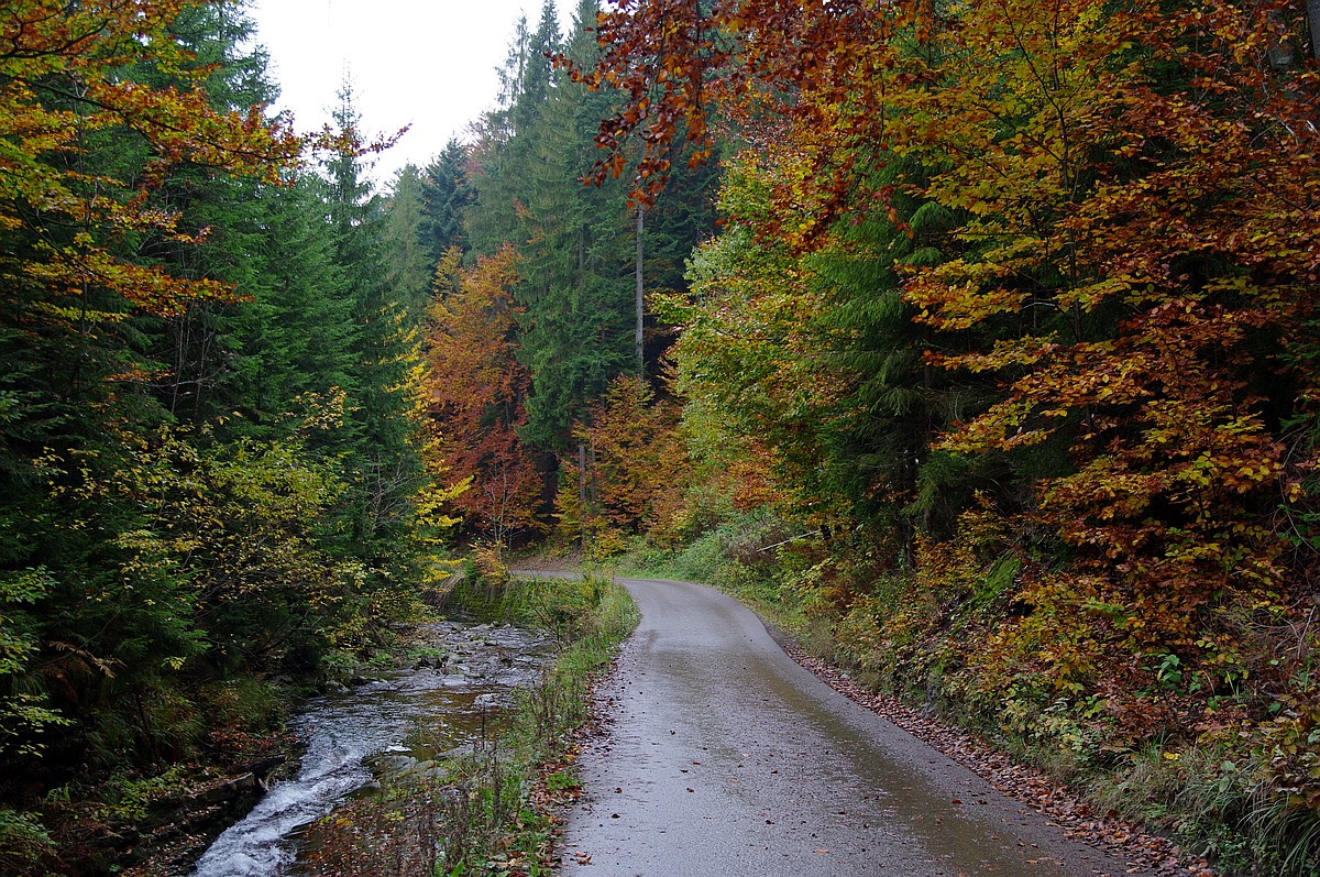 Nazwa:  K2010968.JPG
Wyświetleń: 158
Rozmiar:  598,7 KB