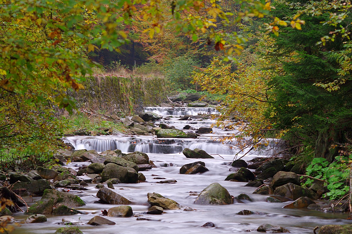 Nazwa:  K2010827.jpg
Wyświetleń: 154
Rozmiar:  426,2 KB