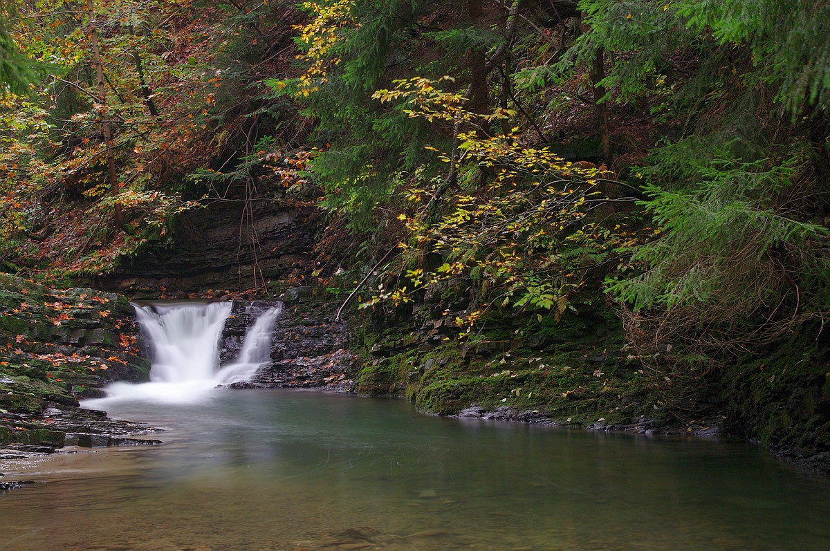 Nazwa:  K2010823.jpg
Wyświetleń: 153
Rozmiar:  427,9 KB