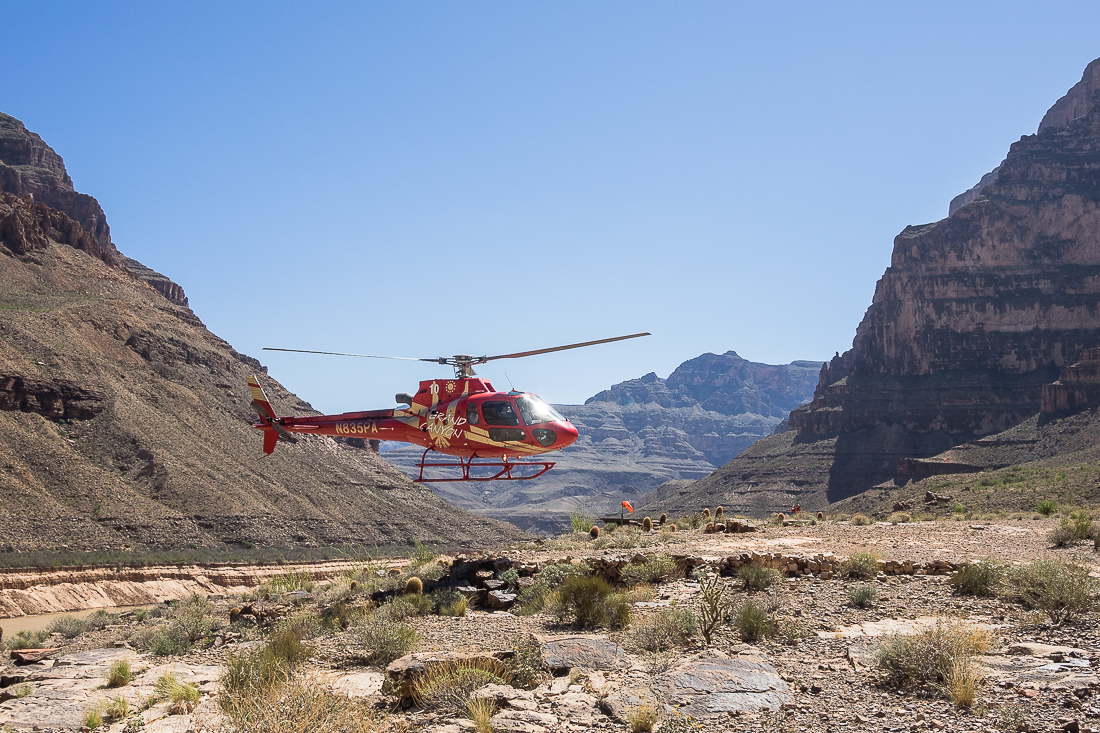 Nazwa:  P9220533.jpg
Wyświetleń: 238
Rozmiar:  865,6 KB