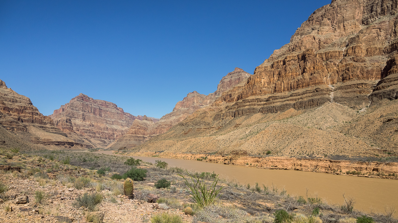 Nazwa:  P9220535.jpg
Wyświetleń: 213
Rozmiar:  1,16 MB