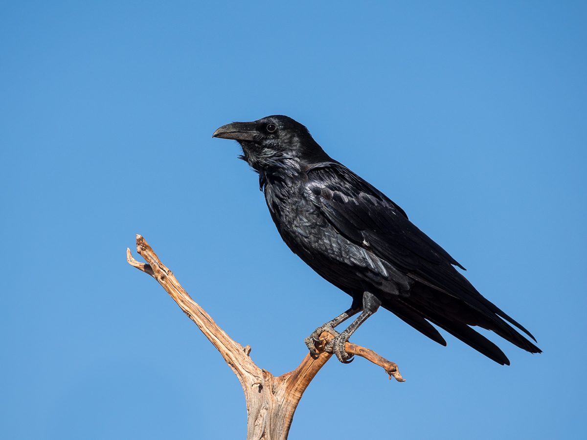 Nazwa:  P9230629.jpg
Wyświetleń: 199
Rozmiar:  556,6 KB