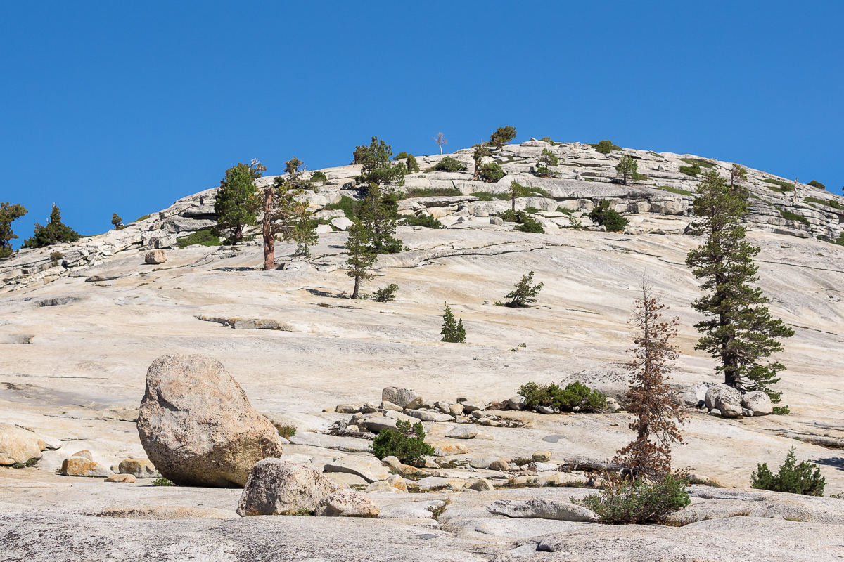 Nazwa:  P9240902.jpg
Wyświetleń: 232
Rozmiar:  1.015,9 KB