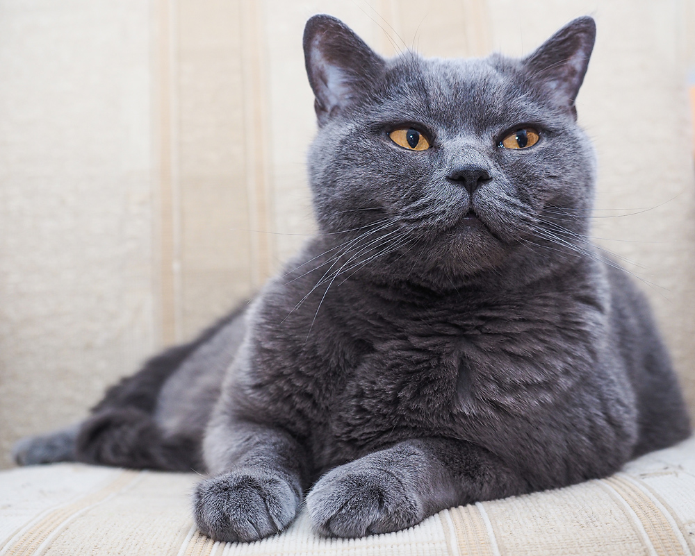 Kliknij obrazek, aby uzyskać większą wersję

Nazwa:	oskar2.jpg
Wyświetleń:	171
Rozmiar:	413,4 KB
ID:	196076