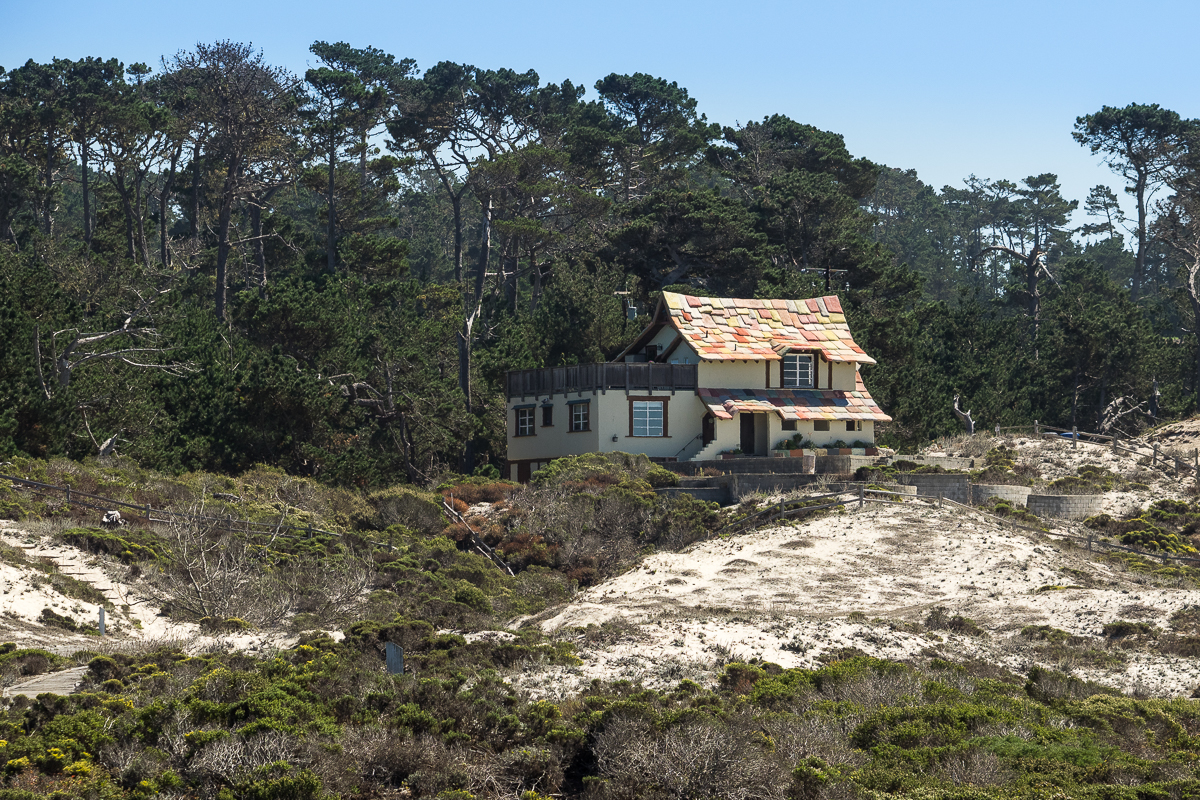 Nazwa:  P9261227.jpg
Wyświetleń: 221
Rozmiar:  1,20 MB