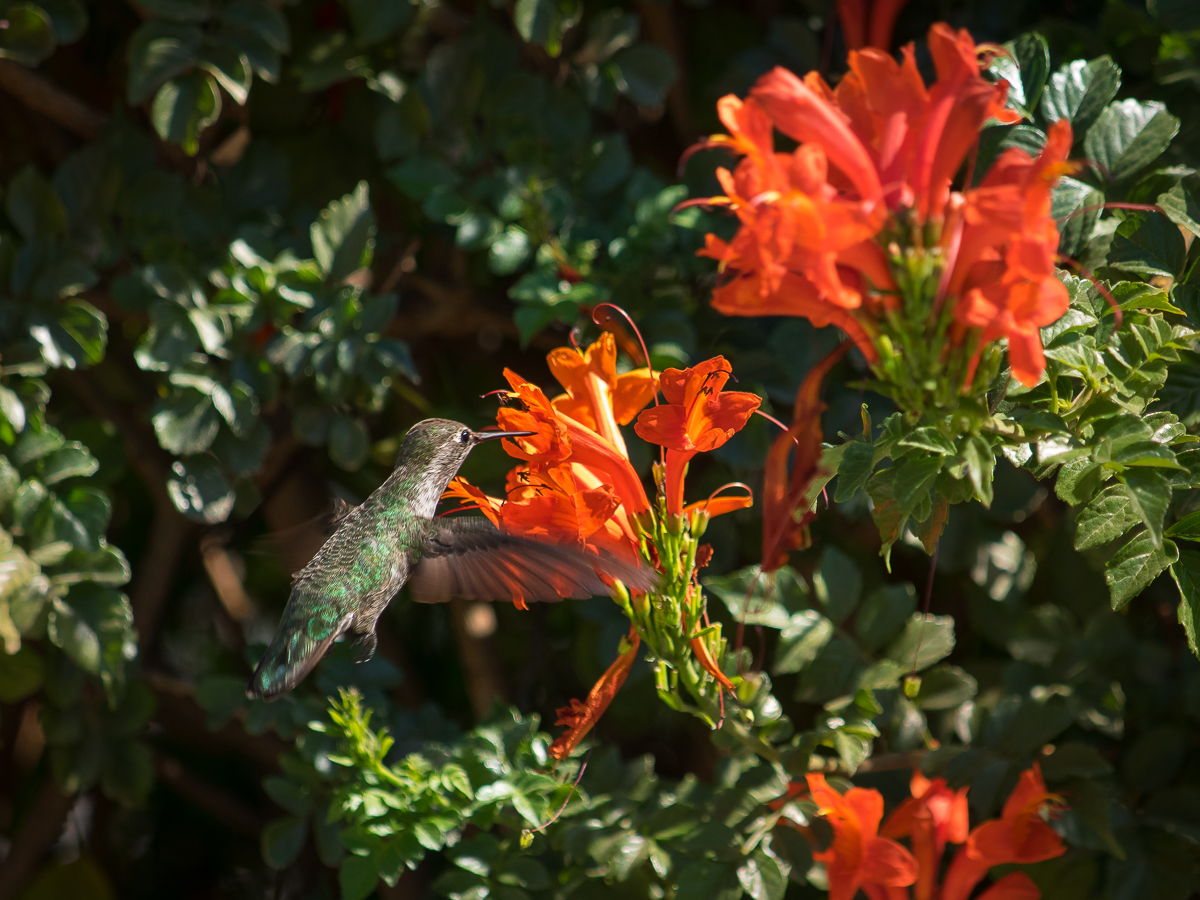 Nazwa:  P9271355.jpg
Wyświetleń: 192
Rozmiar:  823,3 KB