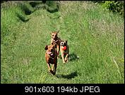 Kliknij obrazek, aby uzyskać większą wersję

Nazwa:	P5257748.JPG
Wyświetleń:	80
Rozmiar:	193,7 KB
ID:	196605