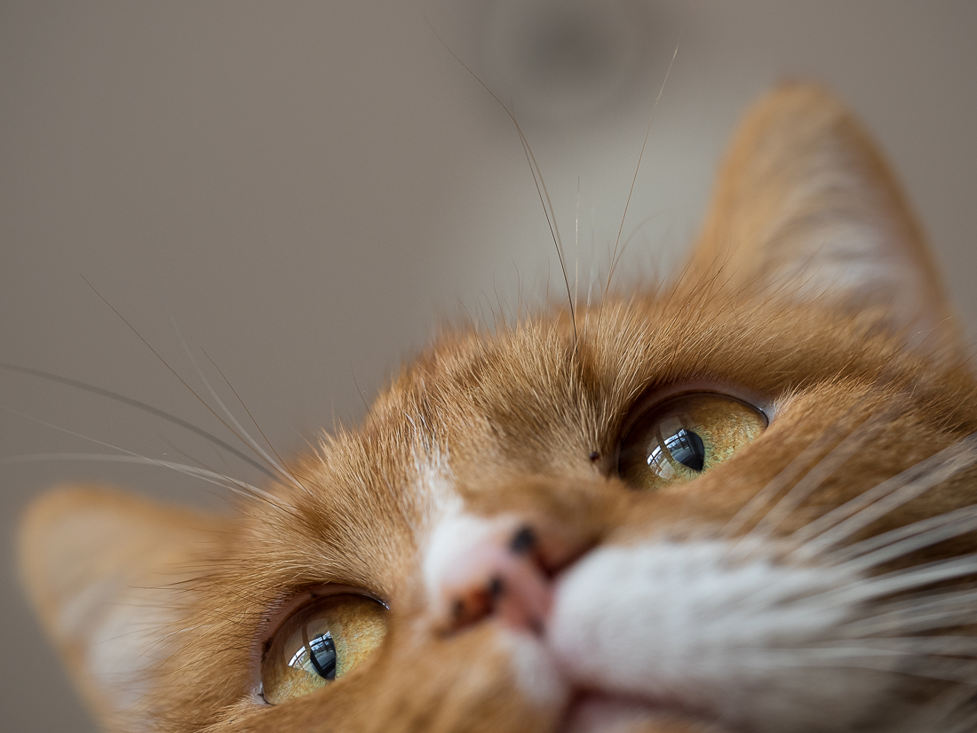 Nazwa:  P1100002.jpg
Wyświetleń: 226
Rozmiar:  532,1 KB