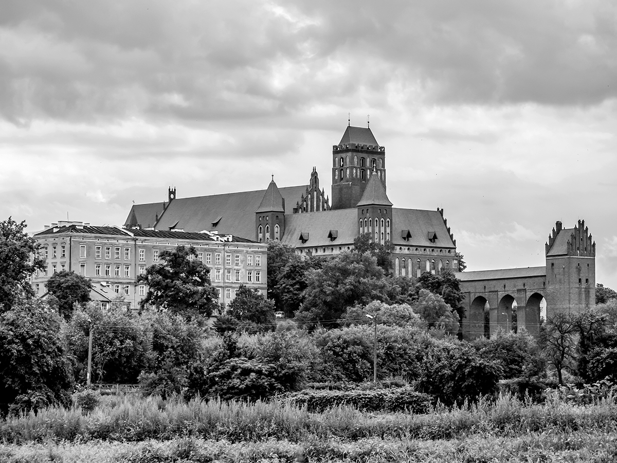 Nazwa:  07.jpg
Wyświetleń: 516
Rozmiar:  626,6 KB