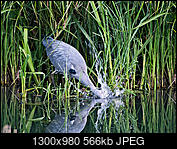 Kliknij obrazek, aby uzyskać większą wersję

Nazwa:	p6214688.jpg
Wyświetleń:	98
Rozmiar:	566,0 KB
ID:	198104