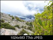 Kliknij obrazek, aby uzyskać większą wersję

Nazwa:	P9201552.jpg
Wyświetleń:	214
Rozmiar:	76,6 KB
ID:	198689