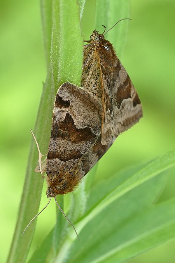 Nazwa:  cmy08003cf.jpg
Wyświetleń: 167
Rozmiar:  87,0 KB