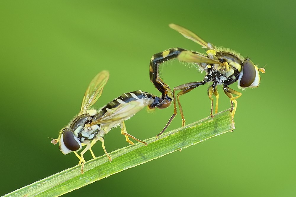 Nazwa:  bzygi10632cf.jpg
Wyświetleń: 165
Rozmiar:  120,6 KB