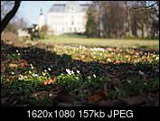 Kliknij obrazek, aby uzyskać większą wersję

Nazwa:	P4070034.jpg
Wyświetleń:	198
Rozmiar:	157,2 KB
ID:	199745