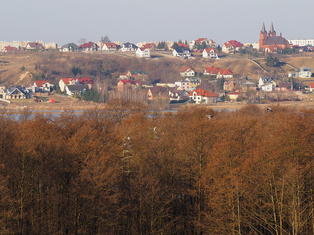 Nazwa:  P4080147_2.jpg
Wyświetleń: 298
Rozmiar:  813,6 KB