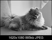 Kliknij obrazek, aby uzyskać większą wersję

Nazwa:	P4130104.jpg
Wyświetleń:	81
Rozmiar:	884,9 KB
ID:	200001